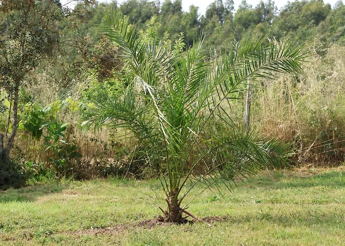 With Private Pool Arganil